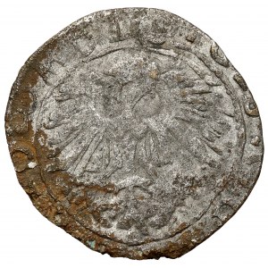 Zygmunt II August, Półgrosz Wilno 1566 - falsyfikat z epoki