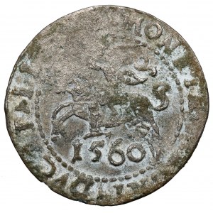 Zygmunt II August, Półgrosz Wilno 1560 - falsyfikat z epoki