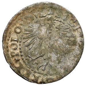 Zygmunt II August, Półgrosz Wilno 1560 - falsyfikat z epoki