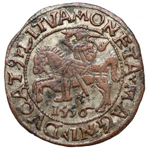 Zygmunt II August, Półgrosz Wilno 1556 - falsyfikat z epoki