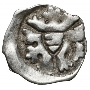 Austria, Albrecht II (1330-1358) Fenig, Enns