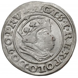 Zygmunt I Stary, Grosz Gdańsk 1540