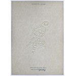 Portals Bathford, High Security Watermarked Paper - presentation set (9szt)