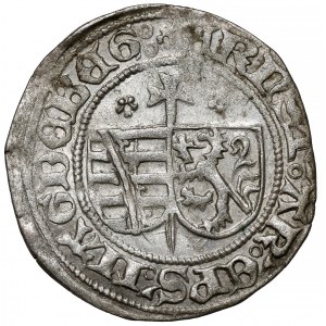Arcybiskupstwo Magdeburg, Ernst von Sachsen (?) 1/2 grosza bez daty (1475-1513)