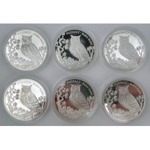 20 złotych 2005 Puchacz - zestaw (6szt)