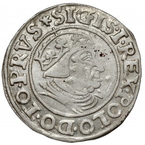 Zygmunt I Stary, Grosz Gdańsk 1539