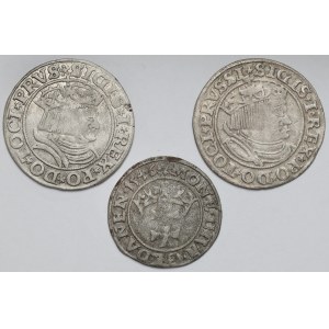 Zygmunt I Stary, Grosze Toruń 1531-1532 i Szeląg Gdańsk 1546 - zestaw (3szt)