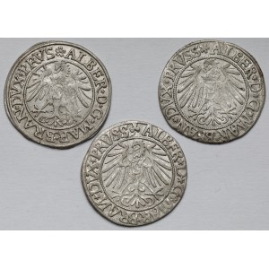 Prusy, Albrecht Hohenzollern, Grosz Królewiec 1535-1544 - zestaw (3szt)