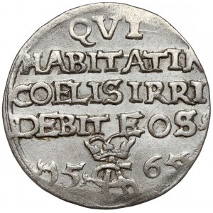 Zygmunt II August, Trojak Tykocin 1565 - szyderczy