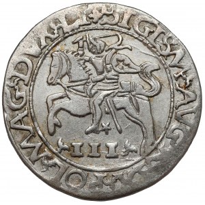 Zygmunt II August, Trojak Tykocin 1565 - szyderczy