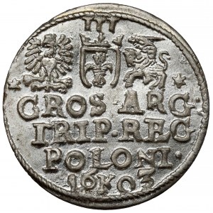Zygmunt III Waza, Trojak Kraków 1603