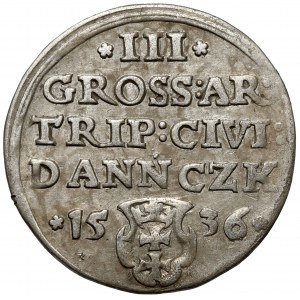 Zygmunt I Stary, Trojak Gdańsk 1536