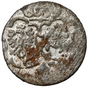 Zygmunt III Waza, Denar Łobżenica 1623