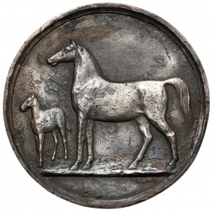 Śląsk, Wrocław, Medal pierwszy śląski pokaz koni 1874 -