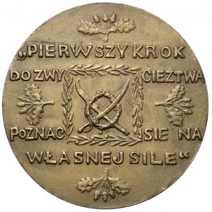 Medal 100. rocznica śmierci Tadeusza Kościuszki 1917, Wiedeń