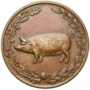 Medal nagrodowy Ministerstwa Rolnictwa - Hodowla Trzody Chlewnej