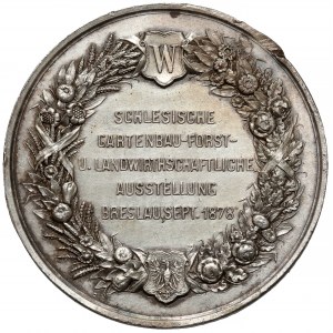 Śląsk, Wrocław, Medal Śląska Wystawa Ogrodnictwa 1878
