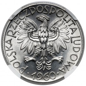Rybak 5 złotych 1960 - znakomity