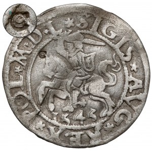 Zygmunt II August, Półgrosz Wilno 1545 - ex. Czapski