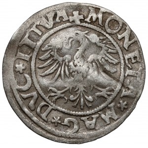 Zygmunt II August, Półgrosz Wilno 1545 - ex. Czapski