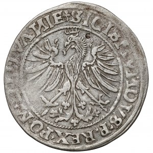Zygmunt I Stary, Grosz Wilno 1535 - ex. Czapski