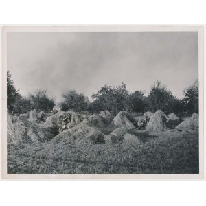 Okupacja / III Rzesza, Zdjęcie Dywizji SS walczących na przedpolu Warszawy 1944 r.