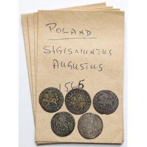 Zygmunt II August, Półgrosze Wilno 1561-1565 - zestaw (5szt)