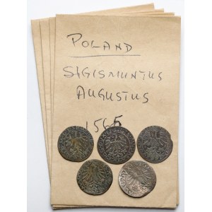Zygmunt II August, Półgrosze Wilno 1561-1565 - zestaw (5szt)