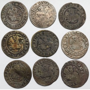 Zygmunt I Stary, Półgrosz Wilno 1509-1523 - zestaw (9szt)