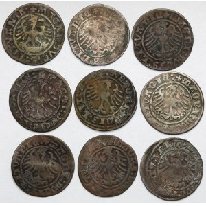 Zygmunt I Stary, Półgrosz Wilno 1509-1523 - zestaw (9szt)