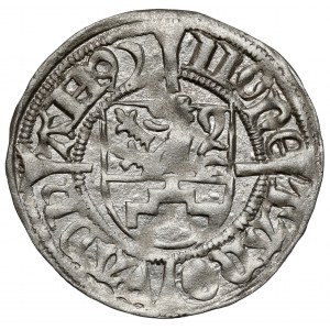 Pomorze, Bogusław X, Szeląg Dąbie 1492