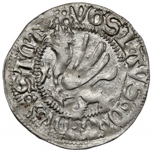 Pomorze, Bogusław X, Szeląg Dąbie 1492