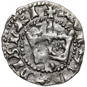 Władysław II Jagiełło, Półgrosz Kraków - typ 1 - litera P - b.rzadki