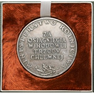 Medal nagrodowy Ministerstwa Rolnictwa - Hodowla Trzody Chlewnej