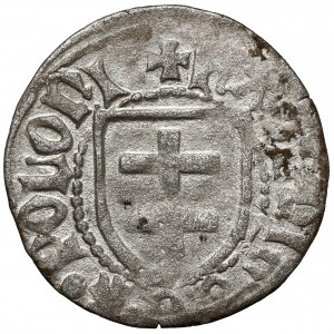 Kazimierz IV Jagiellończyk, Szeląg Toruń - krzyże