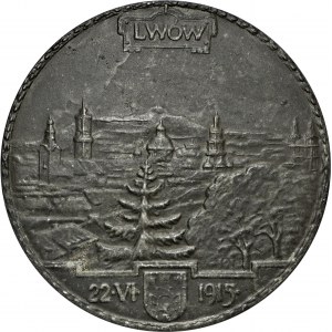 1915, Na pamiątkę oswobodzenia Lwowa