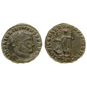 Cesarstwo Rzymskie, follis, 319, Tessaloniki