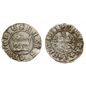 Polska, półgrosz, 1499-1501, Kraków