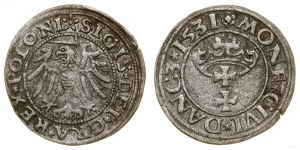 Polska, szeląg, 1531, Gdańsk