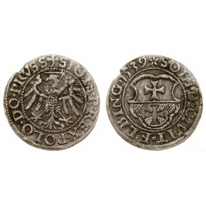 Polska, szeląg, 1539, Elbląg