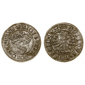 Polska, szeląg, 1529, Toruń