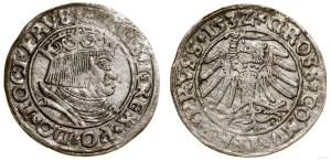 Polska, grosz, 1532, Toruń
