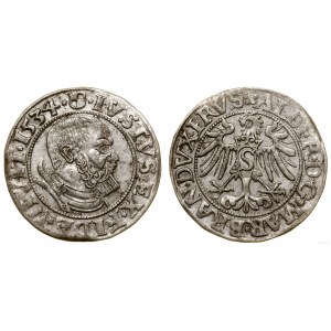 Prusy Książęce (1525-1657), grosz, 1534, Królewiec