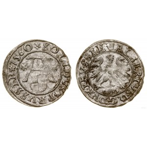 Prusy Książęce (1525-1657), szeląg, 1560, Królewiec