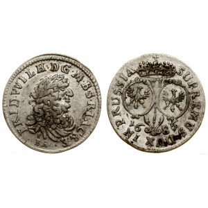 Niemcy, szóstak, 1686 BA, Królewiec