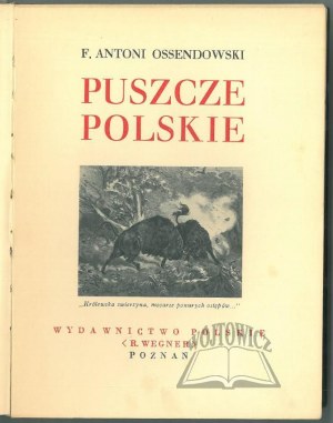 OSSENDOWSKI F. Antoni, Puszcze Polskie.