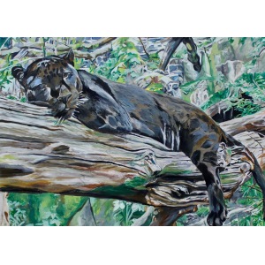 Ilona Foryś, Black Jaguar (2017)