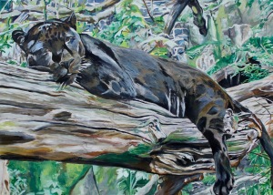 Ilona Foryś, Black Jaguar (2017)