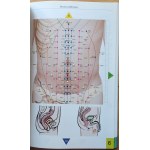 Kuchta Jarosław • Mini atlas punktów akupunktury