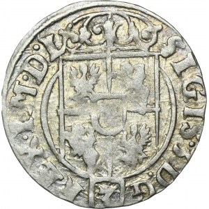Sigismund III. Vasa, Półtorak Bydgoszcz 1625 - kein Wappen Snopek